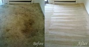 Thousand Oaks carpet cleaning