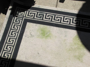 Thousand Oaks carpet cleaners